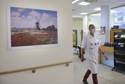 L’art s’invite dans les hôpitaux de l’AP-HP grâce au soutien de la Rmn – Grand Palais * Assistance publique - ...